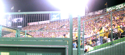 ０１６・自ひしめく「阪神ファン」一塁側・５１０.jpg