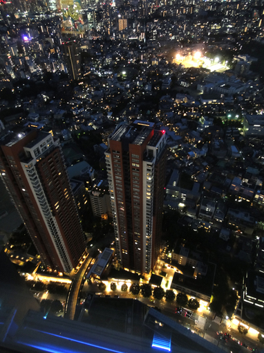 ０４２・東京夜景・５１０.jpg