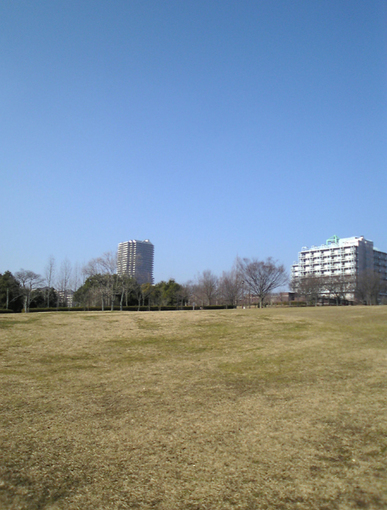 ２０１０・１・１９「初春の空・中央公園・西区」.jpg